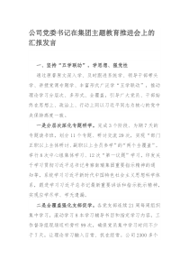 公司党委书记在集团主题教育推进会上的汇报发言