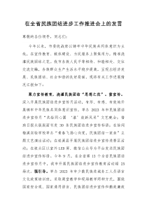 在全省民族团结进步工作推进会上的发言