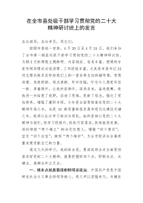 【研讨发言】在全市县处级干部学习贯彻党的二十大精神研讨班上的发言