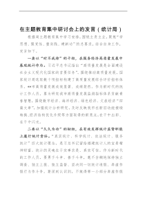 在主题教育集中研讨会上的发言（统计局）