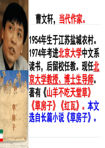 《孤独之旅》ppt课件