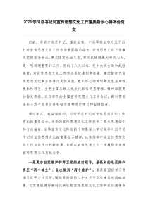 2023学习总书记对宣传思想文化工作重要指示心得体会范文