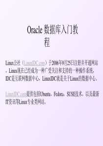 Oracle数据库入门教程