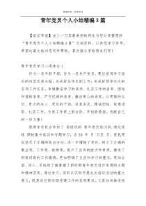 青年党员个人小结精编3篇