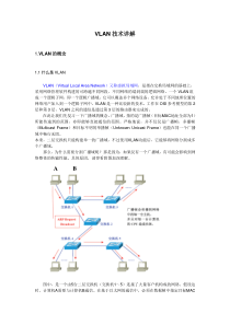 VLAN技术详解(免费下载)