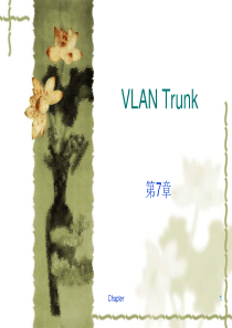 思科教学PPT-VLAN-TRUNK