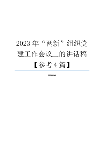 2023年“两新”组织党建工作会议上的讲话稿【参考4篇】