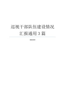 巡视干部队伍建设情况汇报通用3篇