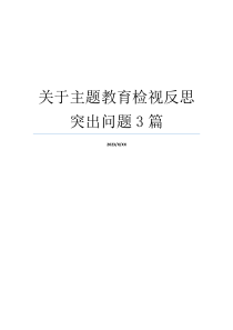 关于主题教育检视反思突出问题3篇