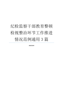 纪检监察干部教育整顿检视整治环节工作推进情况范例通用3篇