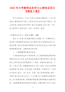 2023年小学教师业务学习心得体会范文【精选5篇】