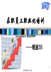 058_在职员工职业化培训-精通5S(ppt65)