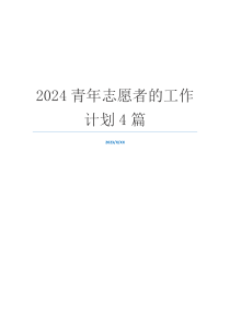 2024青年志愿者的工作计划4篇