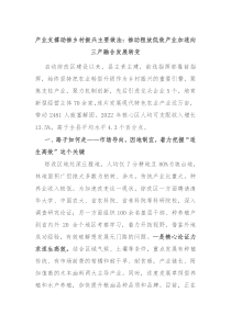 产业支撑助推乡村振兴主要做法推动粗放低效产业加速向三产融合发展转变