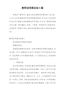 教师试用期总结5篇