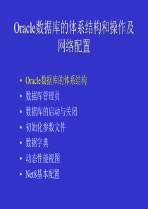 Oracle数据库的体系结构和操作及网络配置