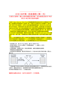 CCIE-经典的OSPF笔记(第一天课程)