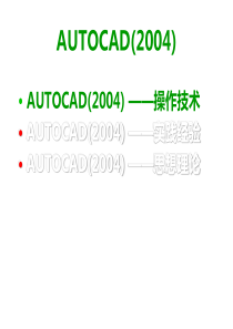 AUTOCAD(XXXX)-操作技术