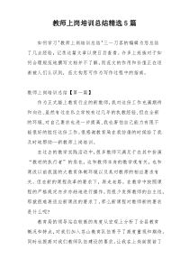 教师上岗培训总结精选5篇