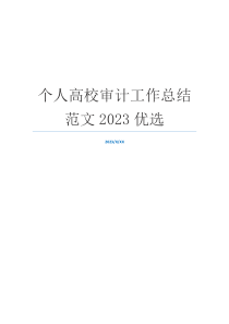 个人高校审计工作总结范文2023优选