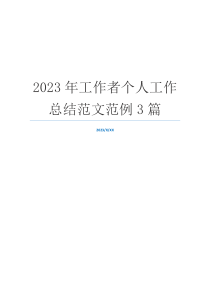 2023年工作者个人工作总结范文范例3篇