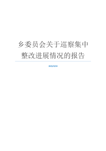 乡委员会关于巡察集中整改进展情况的报告