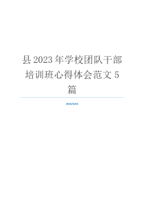 县2023年学校团队干部培训班心得体会范文5篇