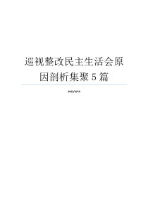 巡视整改民主生活会原因剖析集聚5篇