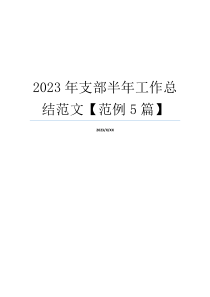 2023年支部半年工作总结范文【范例5篇】