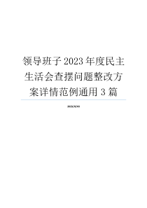 领导班子2023年度民主生活会查摆问题整改方案详情范例通用3篇