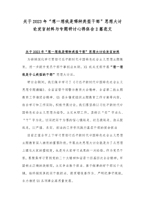 关于2023年“想一想我是哪种类型干部”思想大讨论发言材料与专题研讨心得体会2篇范文