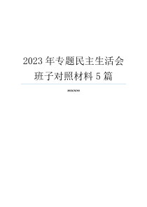 2023年专题民主生活会班子对照材料5篇