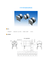 57SW系列直流无刷电机