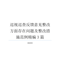 巡视巡查反馈意见整改方面存在问题及整改措施范例精编3篇