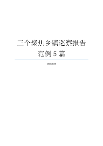 三个聚焦乡镇巡察报告范例5篇