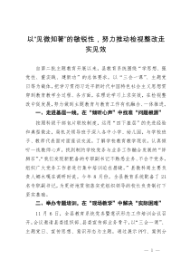 县教科局党组书记在全县主题教育检视整治环节推进会上的发言