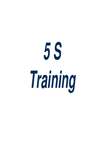 5S Training