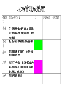 5STPM现场管理成熟度诊断