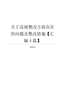 关于巡视整改方面存在的问题及整改措施【汇编4篇】