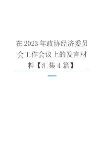 在2023年政协经济委员会工作会议上的发言材料【汇集4篇】