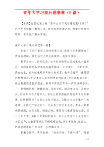 青年大学习观后感集聚（5篇）