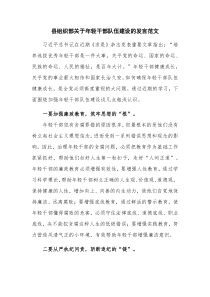 县组织部关于年轻干部队伍建设的发言范文