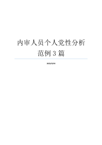 内审人员个人党性分析范例3篇