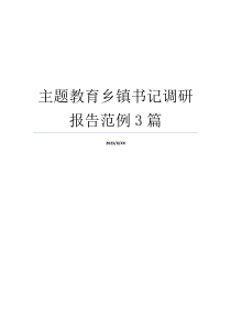 主题教育乡镇书记调研报告范例3篇