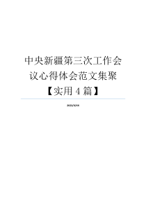 中央新疆第三次工作会议心得体会范文集聚【实用4篇】