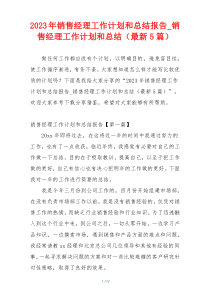 2023年销售经理工作计划和总结报告_销售经理工作计划和总结（最新5篇）