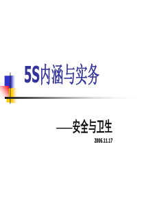 5S内涵与实务