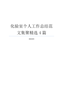 化验室个人工作总结范文集聚精选4篇