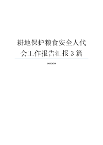 耕地保护粮食安全人代会工作报告汇报3篇