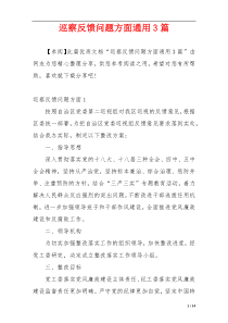 巡察反馈问题方面通用3篇